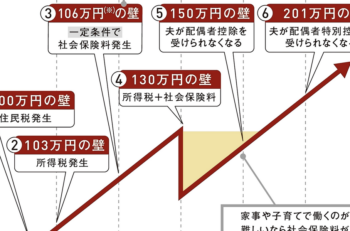 壁マニュアル（社会保険の壁と税金の壁）NO.2の続き