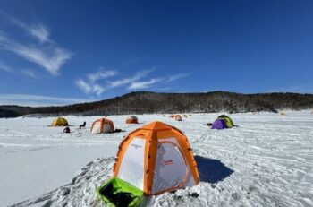 富士山の麓でワカサギ豊漁
