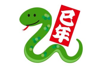 巳年選挙