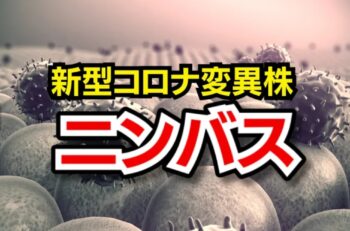 ニンバス