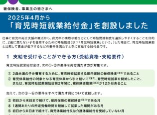 「子ども・子育て支援金」の中身⑤