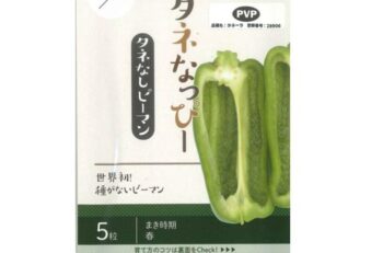 タネなっぴー